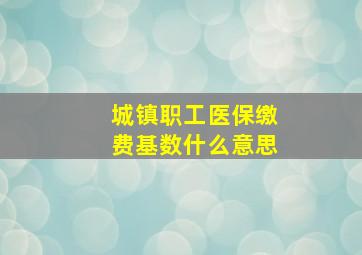 城镇职工医保缴费基数什么意思