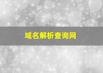 域名解析查询网