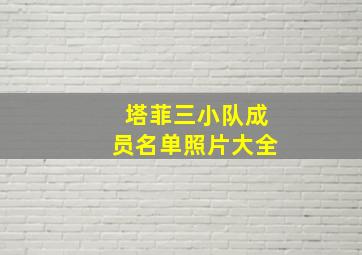 塔菲三小队成员名单照片大全