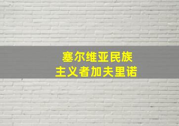 塞尔维亚民族主义者加夫里诺