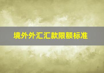 境外外汇汇款限额标准