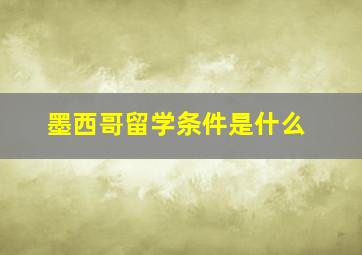 墨西哥留学条件是什么