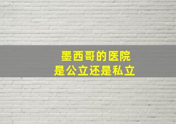 墨西哥的医院是公立还是私立