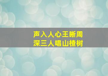 声入人心王晰周深三人唱山楂树