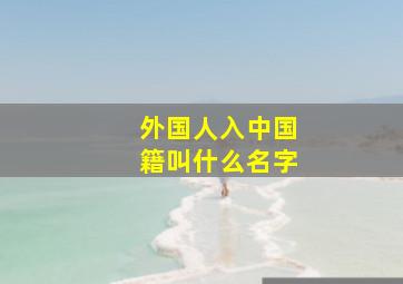 外国人入中国籍叫什么名字