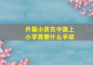 外籍小孩在中国上小学需要什么手续