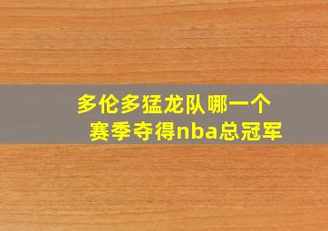 多伦多猛龙队哪一个赛季夺得nba总冠军