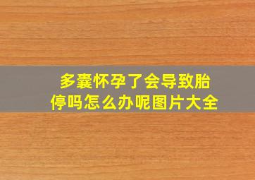 多囊怀孕了会导致胎停吗怎么办呢图片大全