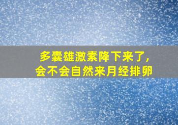 多囊雄激素降下来了,会不会自然来月经排卵