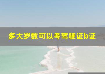 多大岁数可以考驾驶证b证