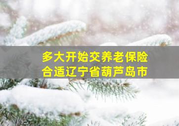 多大开始交养老保险合适辽宁省葫芦岛市