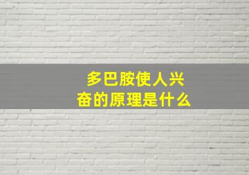 多巴胺使人兴奋的原理是什么