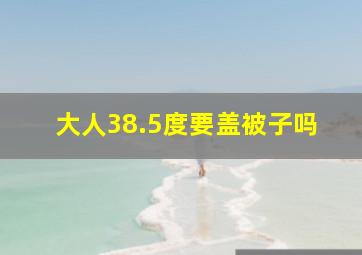 大人38.5度要盖被子吗