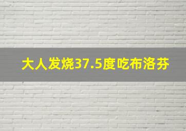 大人发烧37.5度吃布洛芬