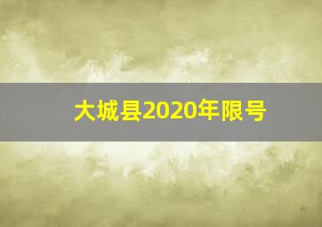 大城县2020年限号