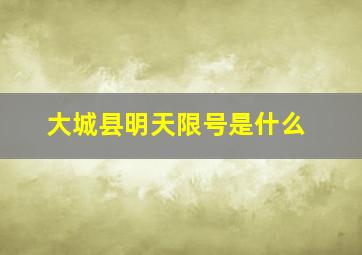 大城县明天限号是什么