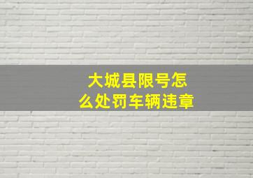 大城县限号怎么处罚车辆违章