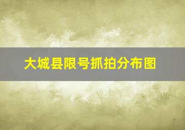 大城县限号抓拍分布图