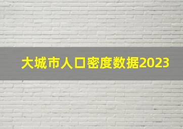 大城市人口密度数据2023