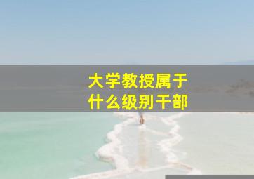 大学教授属于什么级别干部