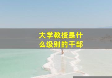 大学教授是什么级别的干部