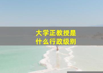 大学正教授是什么行政级别