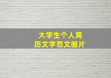 大学生个人简历文字范文图片