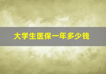 大学生医保一年多少钱