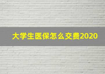 大学生医保怎么交费2020