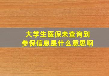 大学生医保未查询到参保信息是什么意思啊