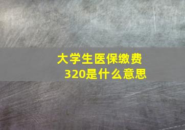 大学生医保缴费320是什么意思