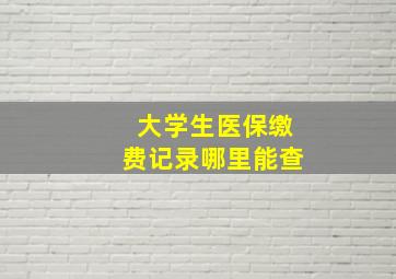 大学生医保缴费记录哪里能查