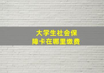 大学生社会保障卡在哪里缴费