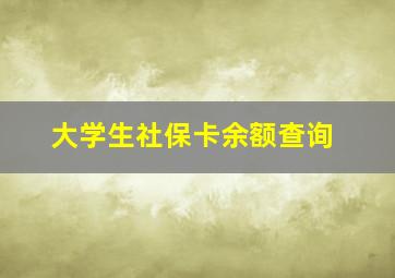 大学生社保卡余额查询