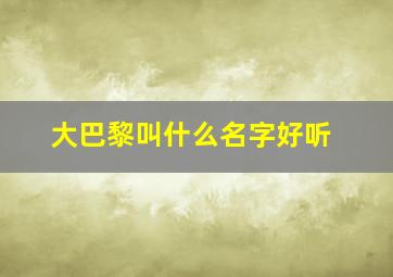 大巴黎叫什么名字好听