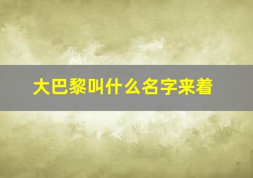 大巴黎叫什么名字来着