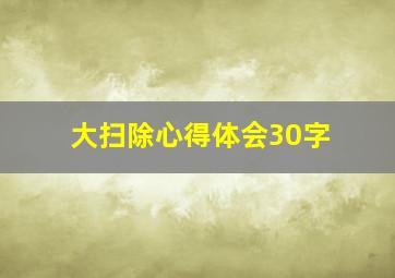 大扫除心得体会30字