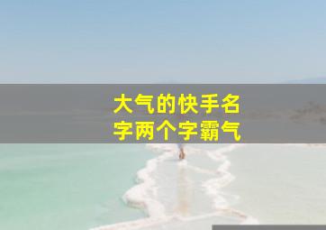 大气的快手名字两个字霸气