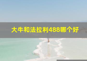 大牛和法拉利488哪个好