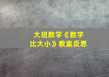 大班数学《数字比大小》教案反思