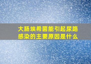 大肠埃希菌能引起尿路感染的主要原因是什么