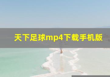 天下足球mp4下载手机版