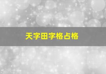 天字田字格占格