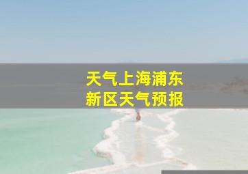 天气上海浦东新区天气预报