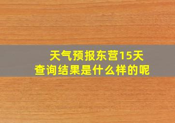 天气预报东营15天查询结果是什么样的呢