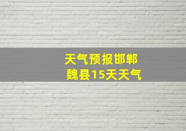 天气预报邯郸魏县15天天气