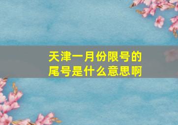 天津一月份限号的尾号是什么意思啊