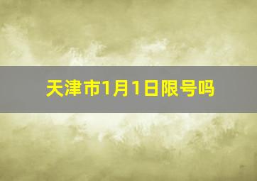 天津市1月1日限号吗