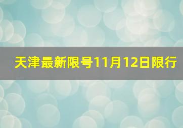 天津最新限号11月12日限行