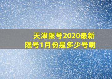 天津限号2020最新限号1月份是多少号啊